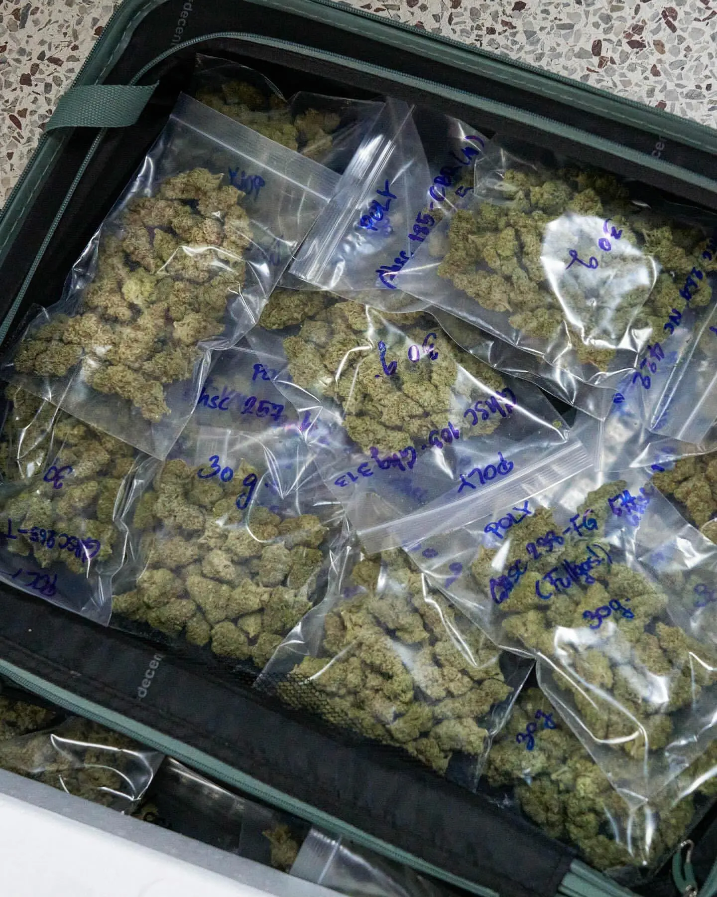 Individually labelled and weighed packages organised in a travel case before dispatch