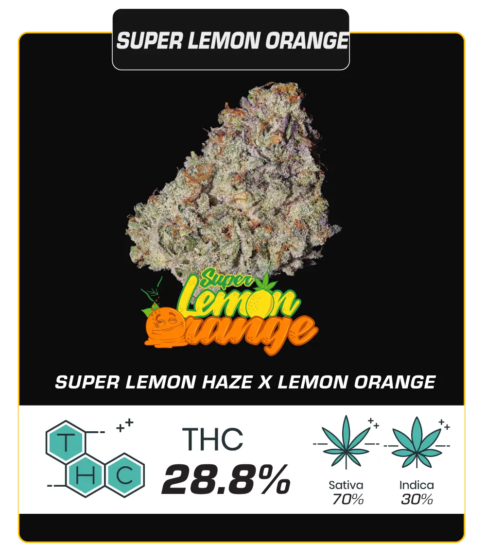 lemon-orange
