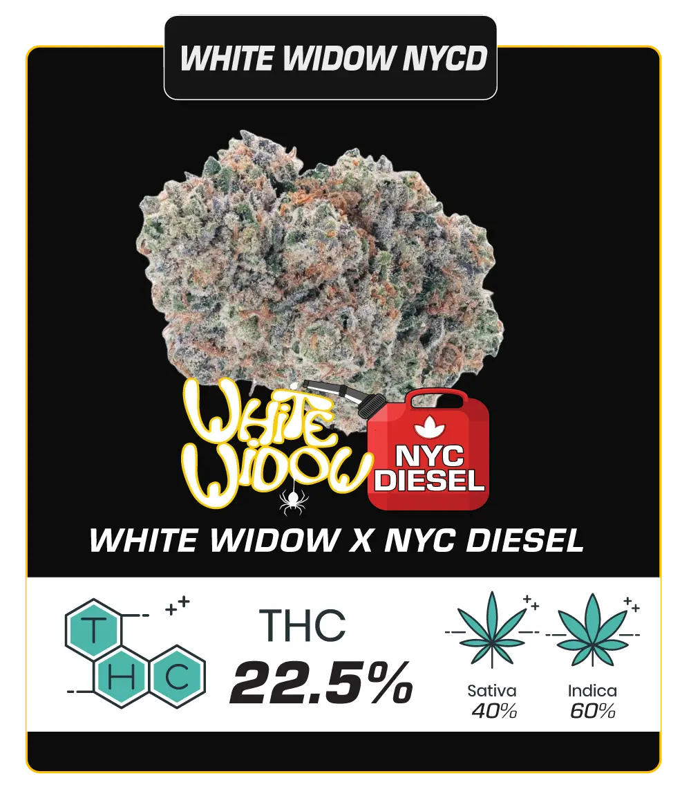 whitewidow
